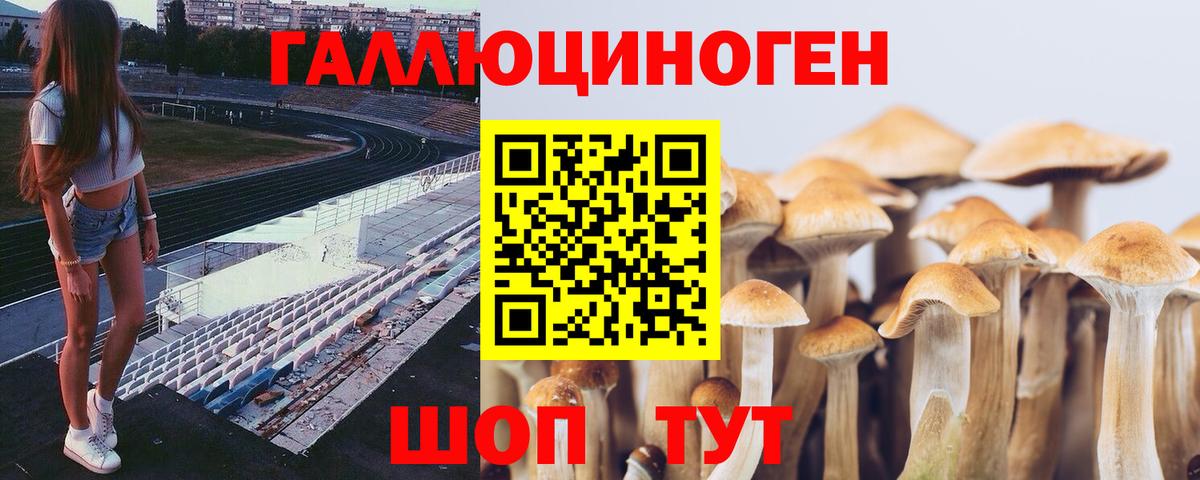Псилоцибиновые грибы Magic Shrooms Новочебоксарск