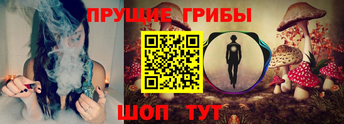 Псилоцибиновые грибы мицелий  Вход с VPN  Новочебоксарск 